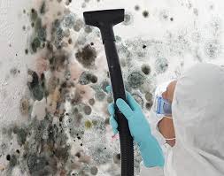 Best Mold Remediation for Healthcare Facilities  in St Augustine South, FL